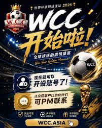 精彩回放